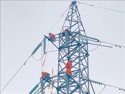 Tình hình hoạt động tháng 5 năm 2026; mục tiêu, nhiệm vụ công tác tháng 6 năm 2026