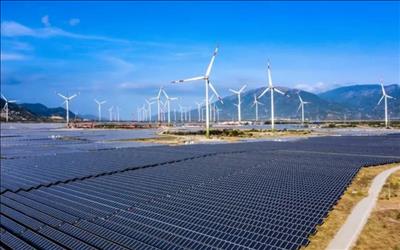 EVN tích cực đàm phán, tìm giải pháp tháo gỡ vướng mắc đối với các dự án năng lượng tái tạo chuyển tiếp