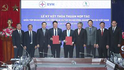 Tập đoàn Điện lực Việt Nam và Tập đoàn Công nghiệp Cao su Việt Nam ký kết thỏa thuận hợp tác